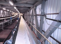 대량 자재용 벨트 컨베이어