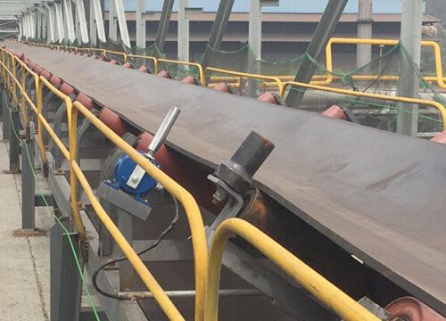 벨트 스웨이 스위치